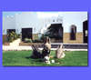 Amphoras Holiday Resort 